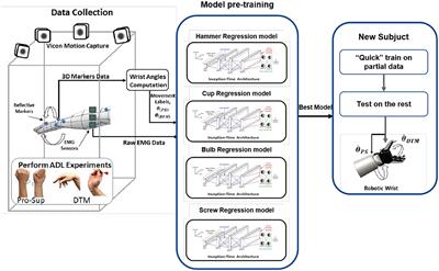 Continuous joint velocity estimation using CNN-based deep learning for multi-DoF prosthetic wrist for activities of daily living